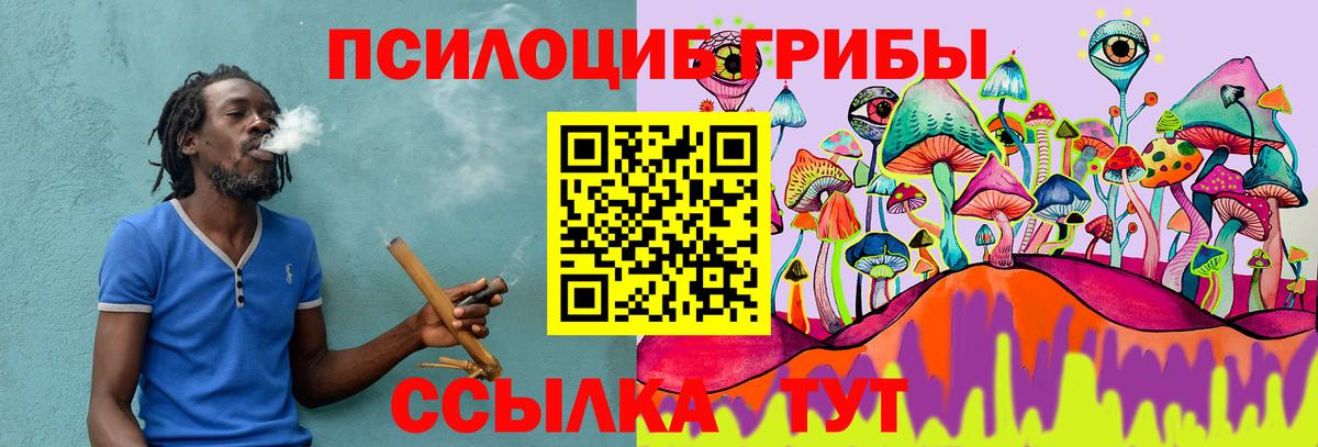 Балахна  Галлюциногенные грибы ЛСД  Галлюциногенные грибы GOLDEN TEACHER  продажа наркотиков  Вход с VPN 